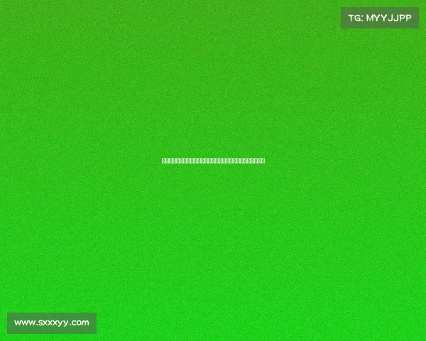 网球国际职业赛事全面透视：大满贯巡回赛球星巅峰对决荣耀征程