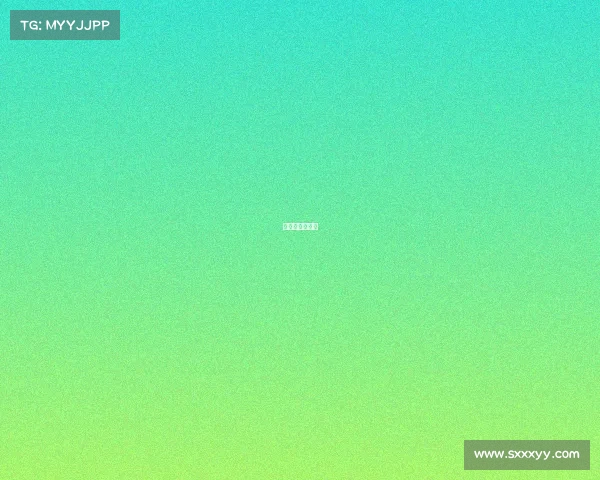 欧洲杯比赛现场